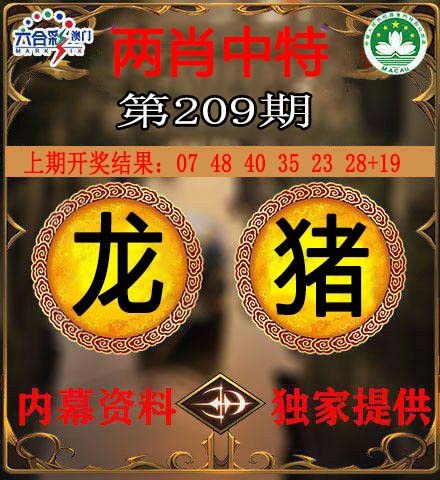 两肖中特