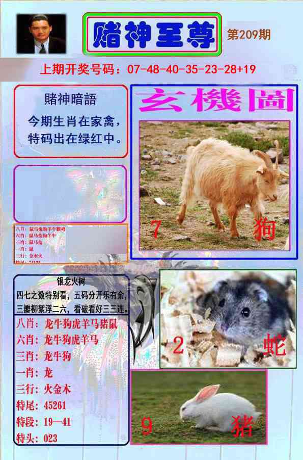 赌神至尊