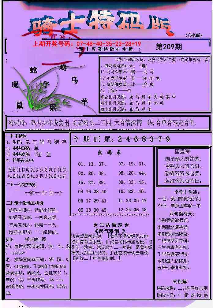 骑士特码版