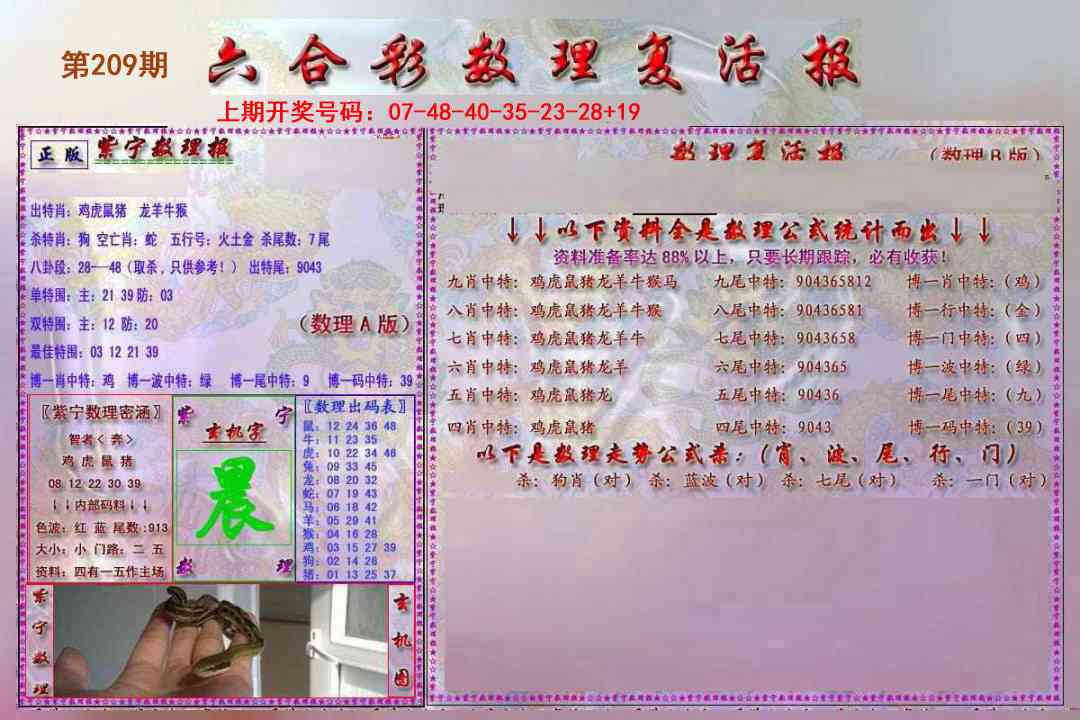 数理复活报