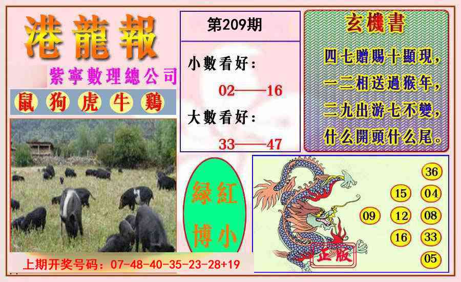 港龙报