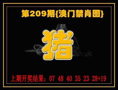 禁一肖