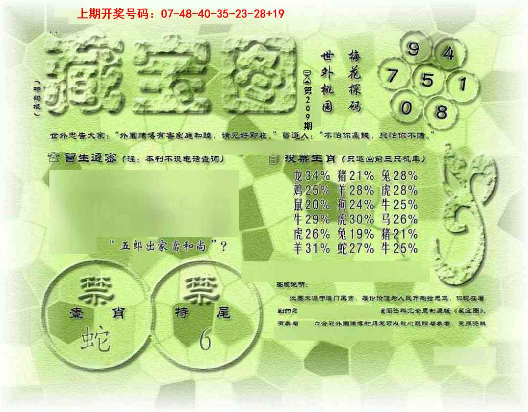 假老藏宝图