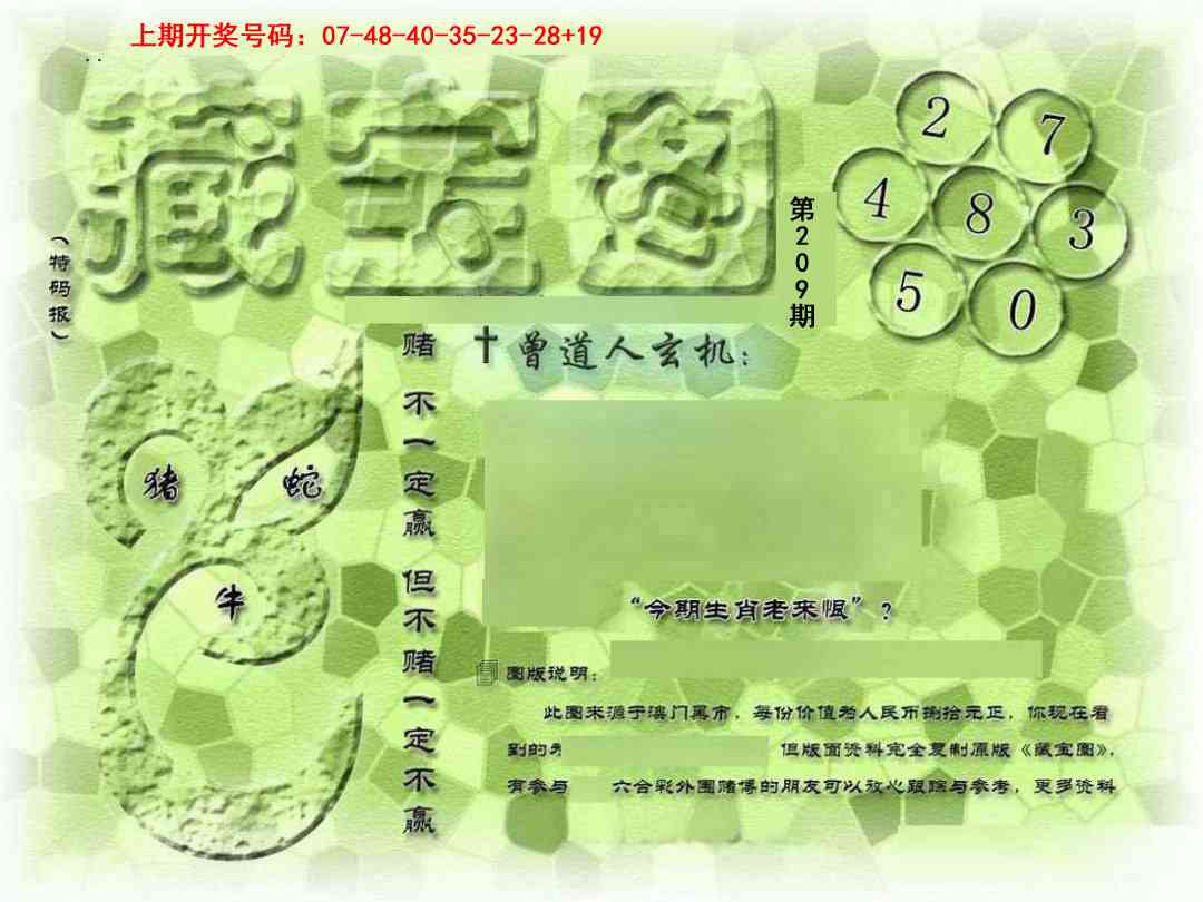假新藏宝图