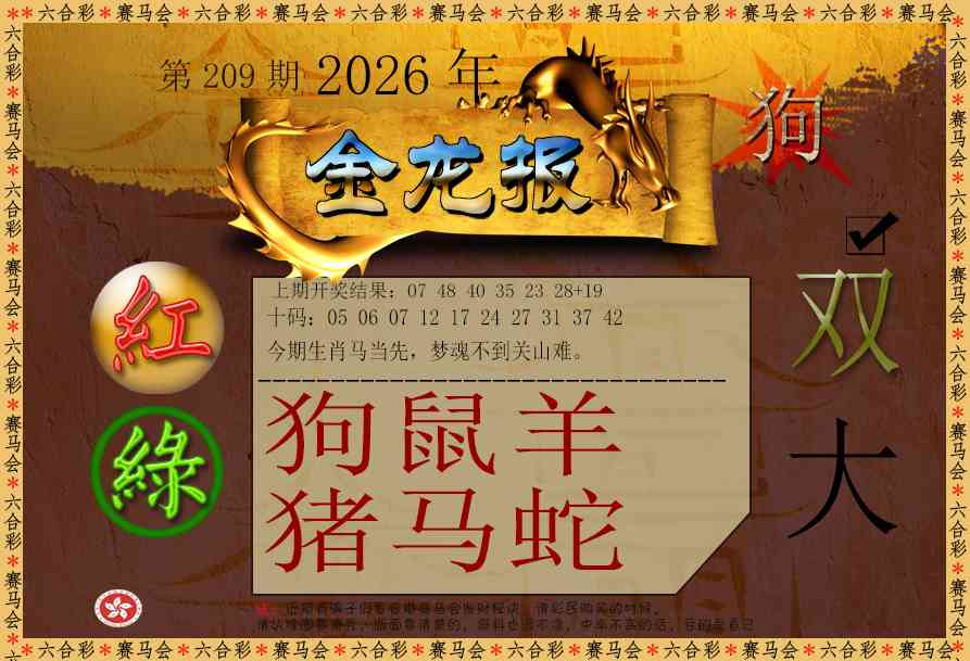 金龙报