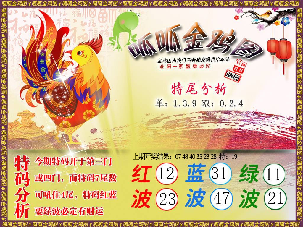 金鸡1