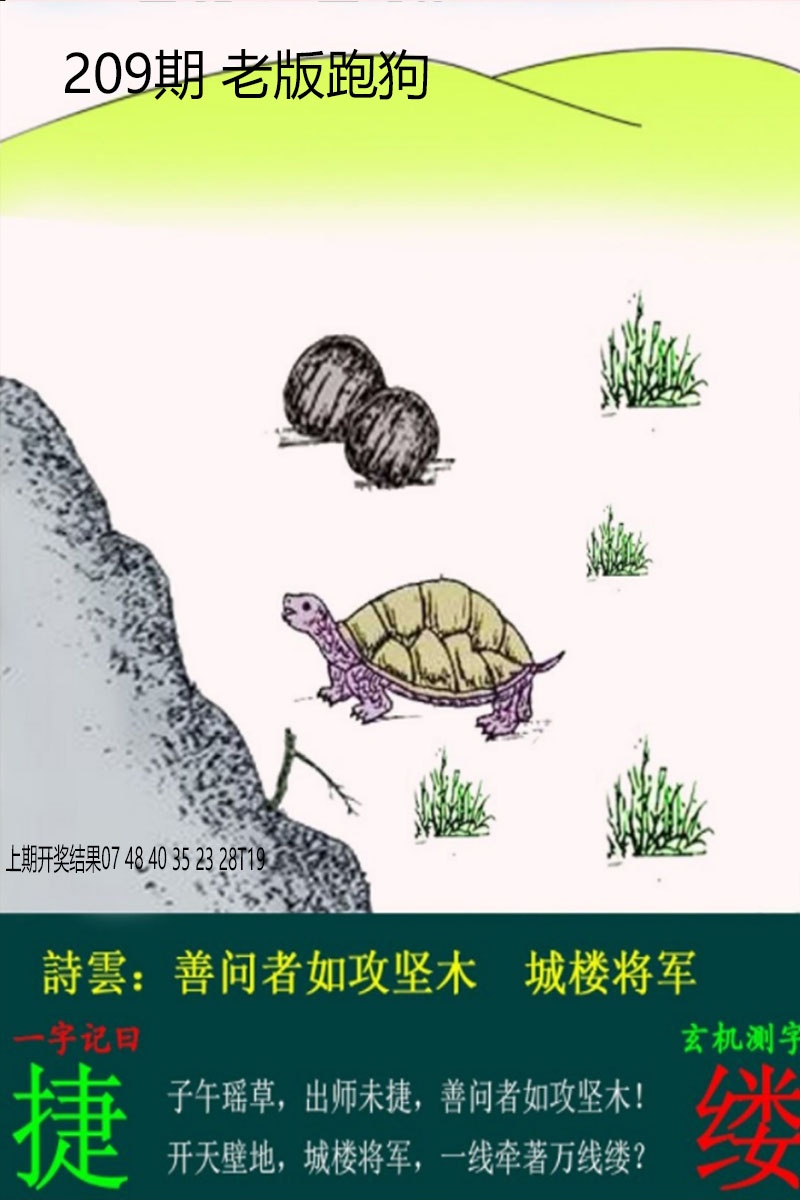 老板跑狗