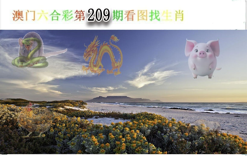 看图找生肖