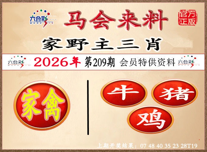 澳门来料