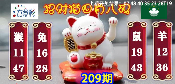 招财猫四肖八码