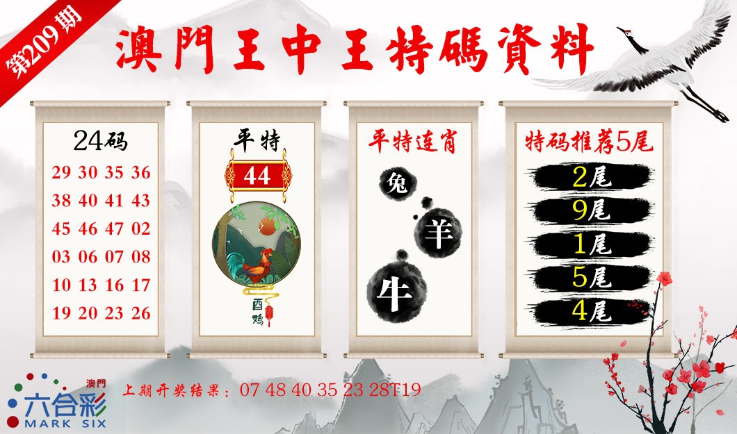王中王特码料