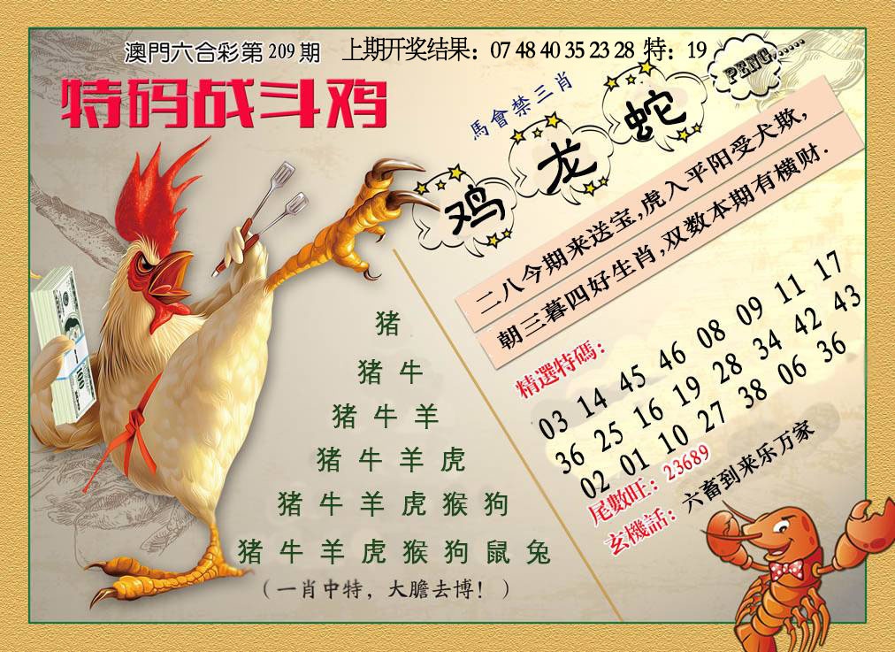 特码战斗机