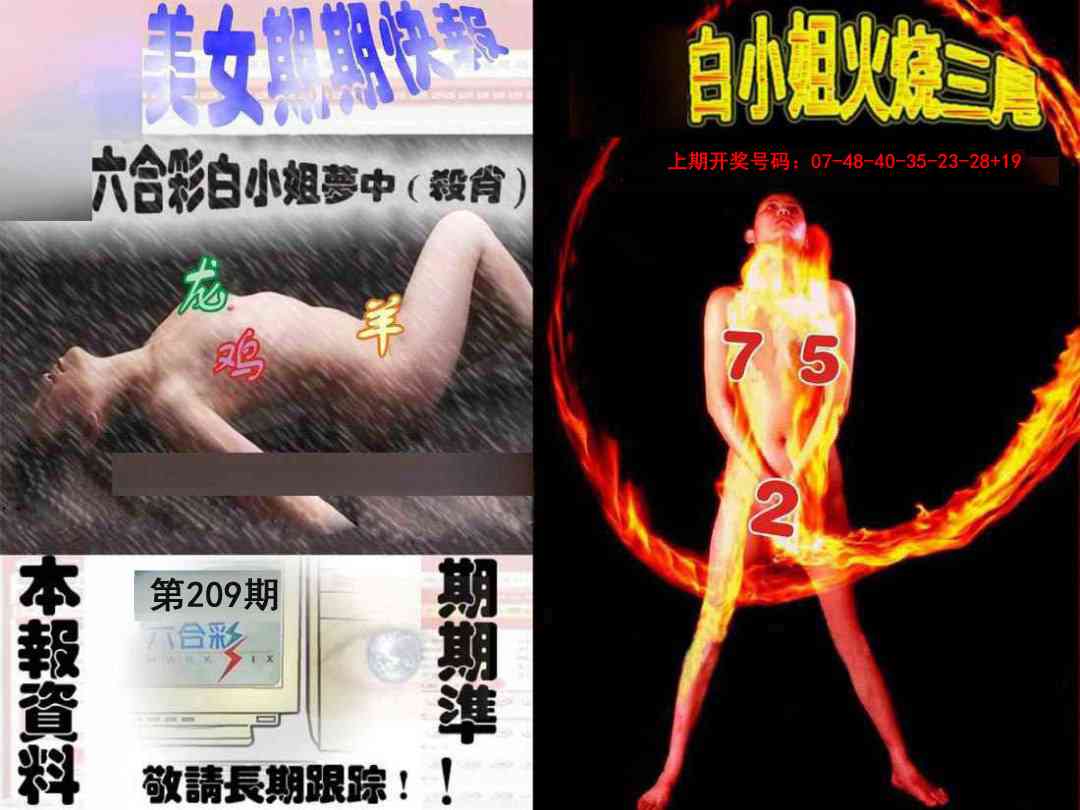 环球美女特码报