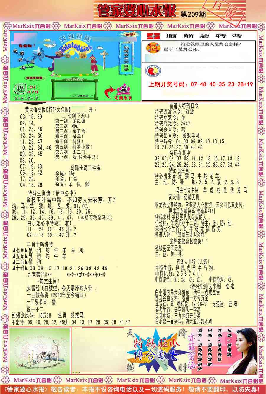 管家婆心水报B