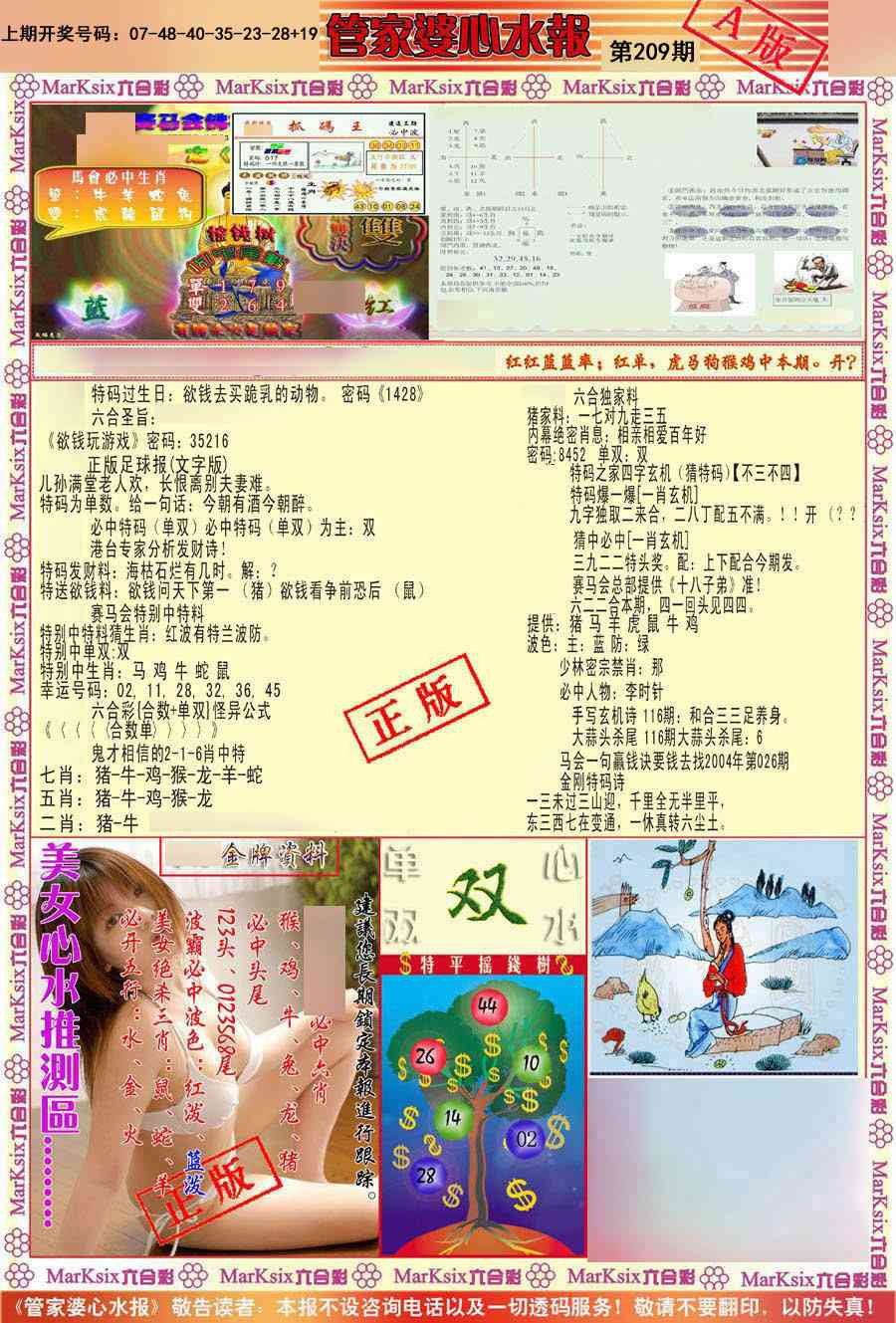 管家婆心水报A