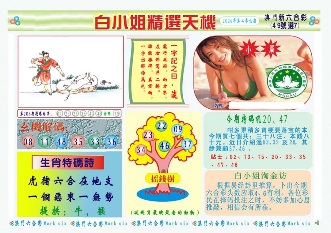 白小姐精选玄机A