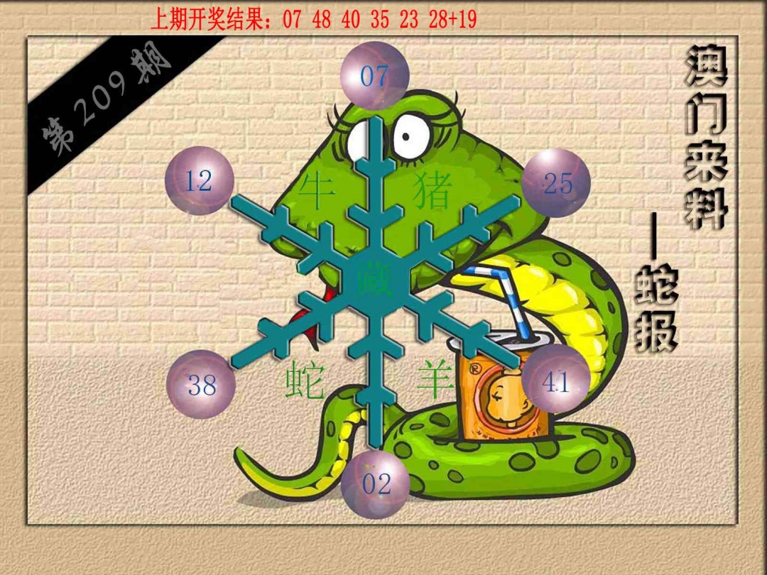 (来料)蛇报