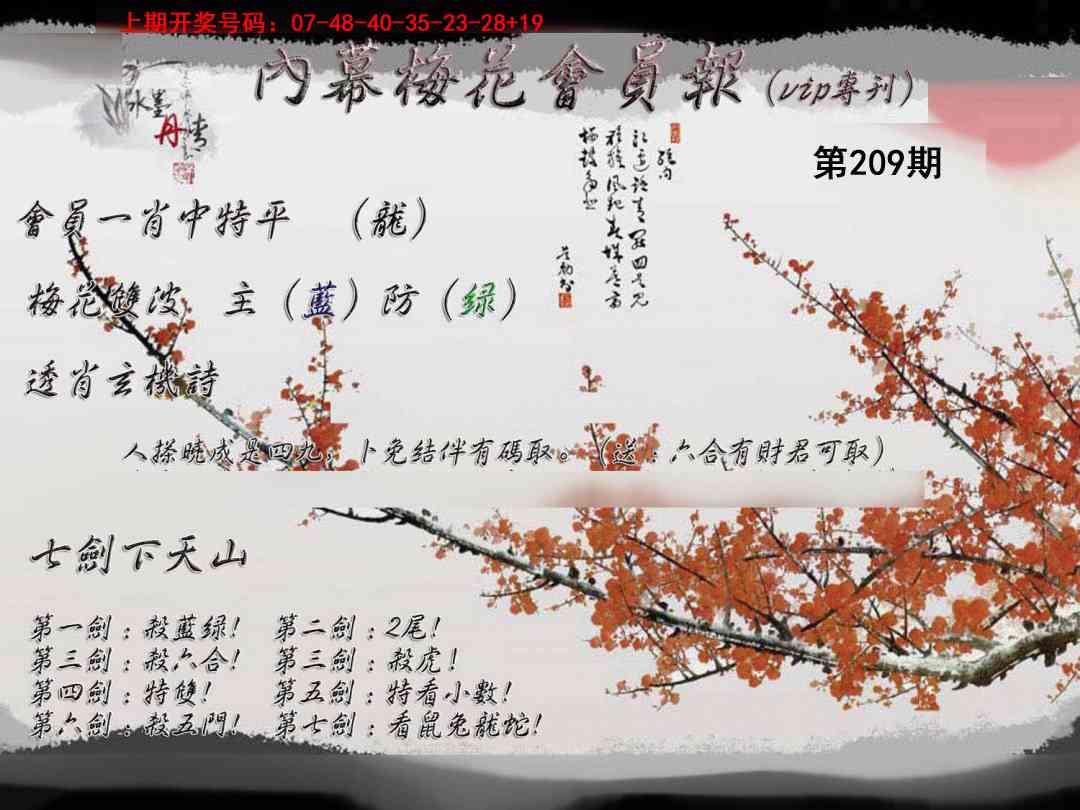 内幕梅花会员报