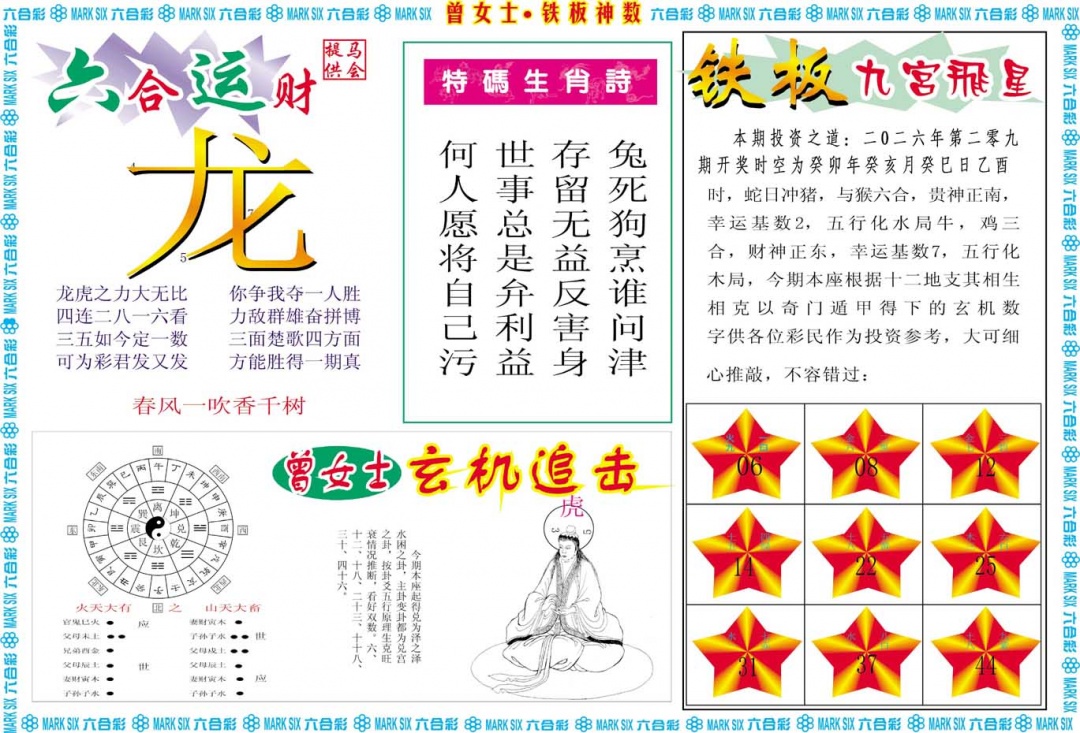 曾女士铁板神数B