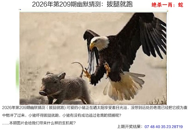 幽默猜测