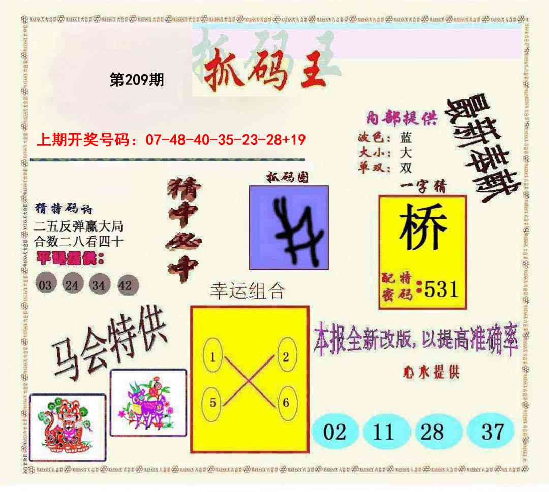 新抓码王
