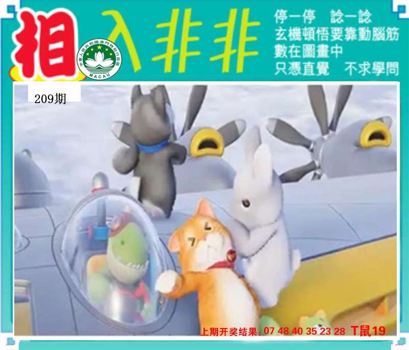 相入非非