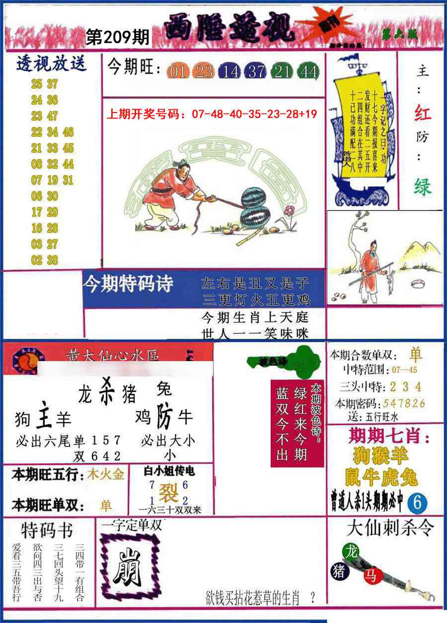 西陲透视
