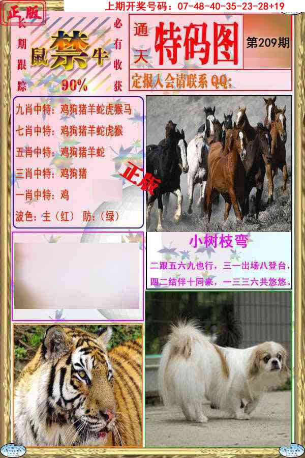 特码图
