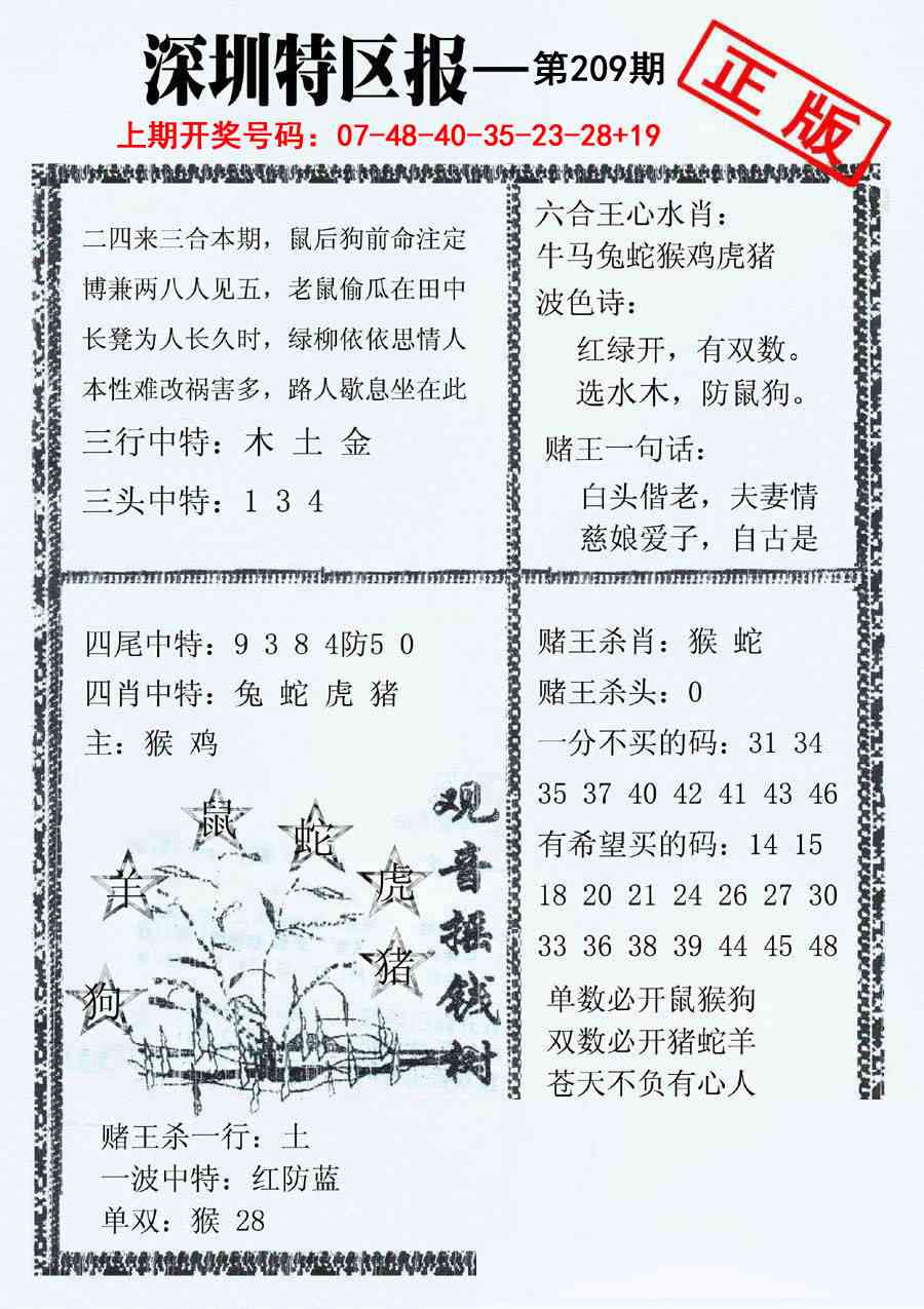 深圳特区报A
