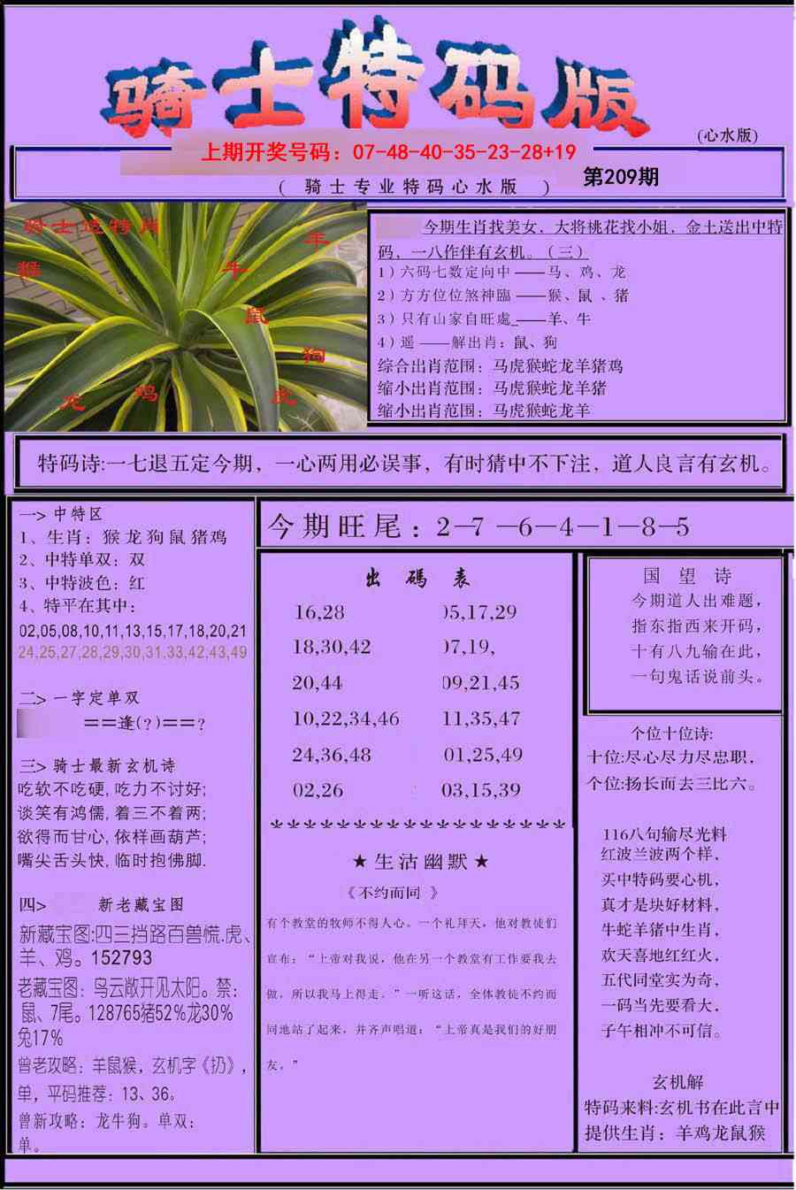 骑士特码版