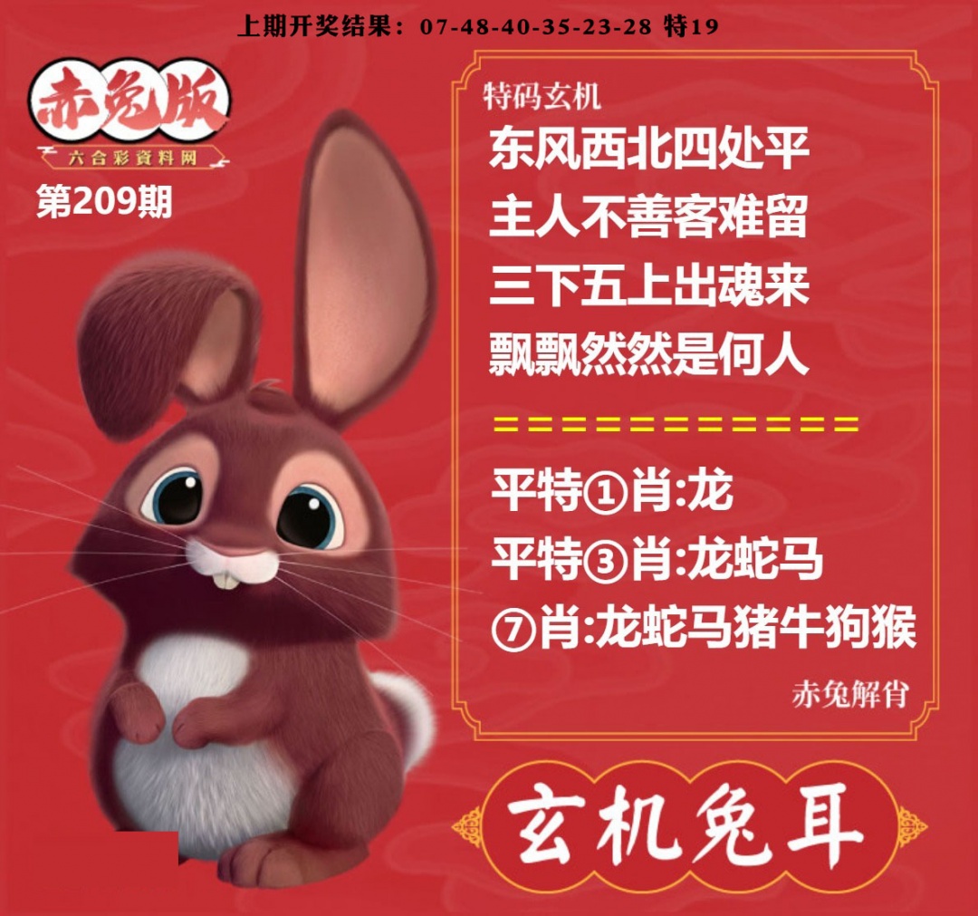 玄机兔耳