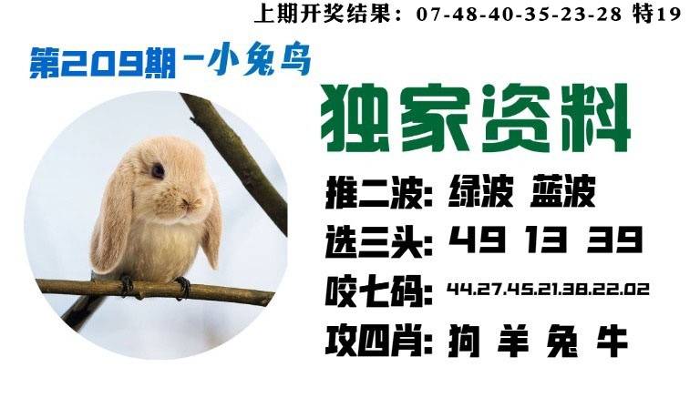 小兔鸟
