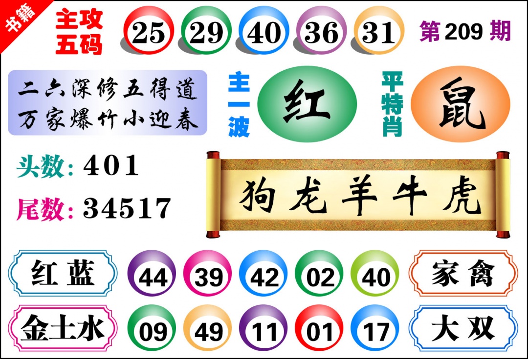 澳门主攻五码
