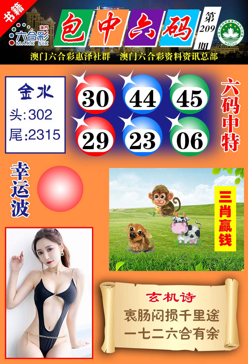 澳门包中六码