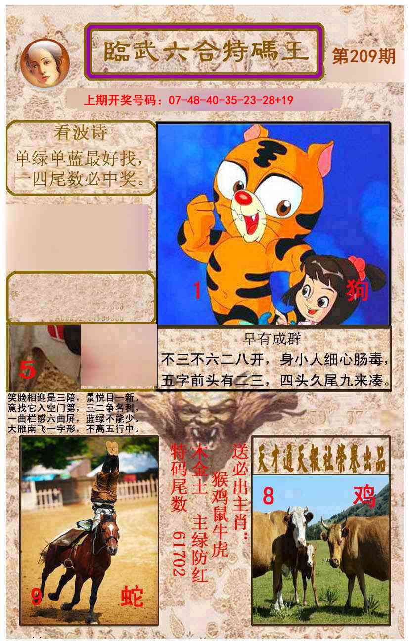 临武六合特码王