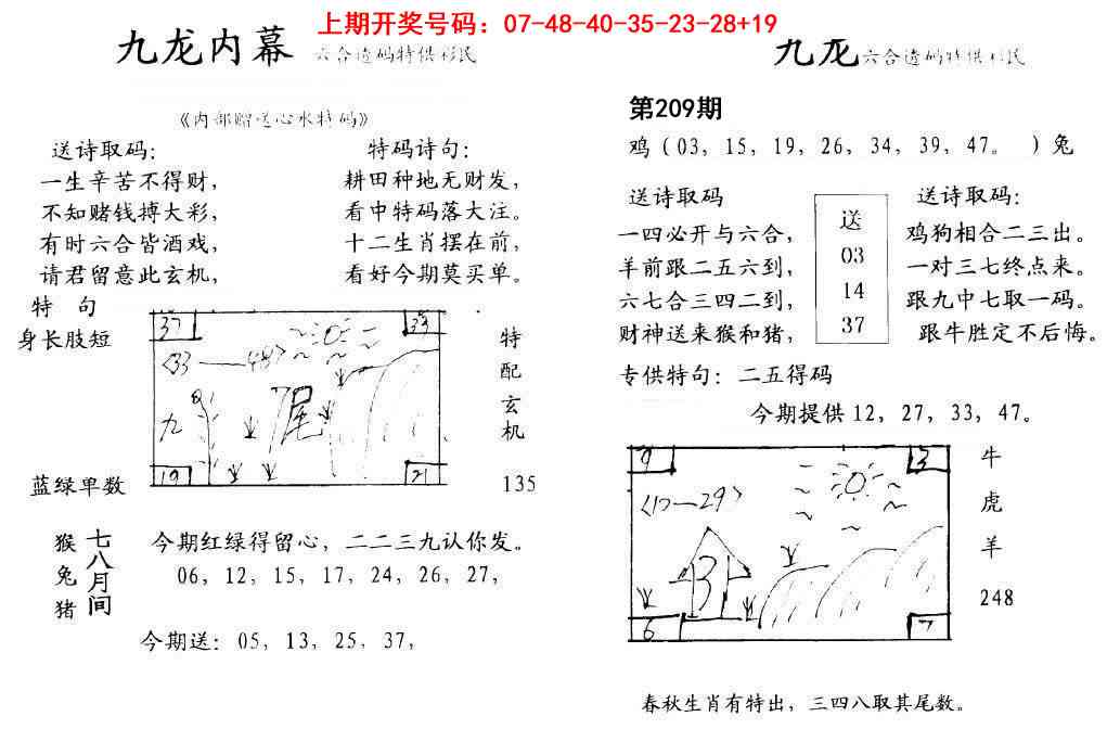 九龙内幕