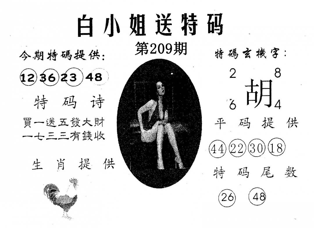 白姐送特