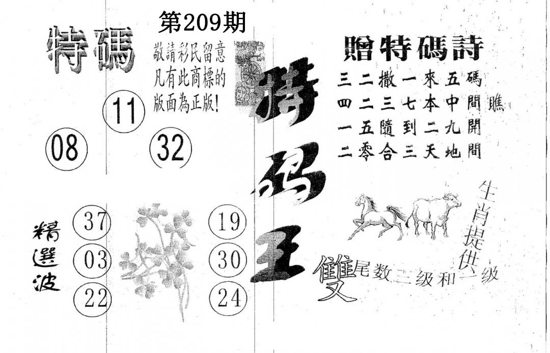 特码王