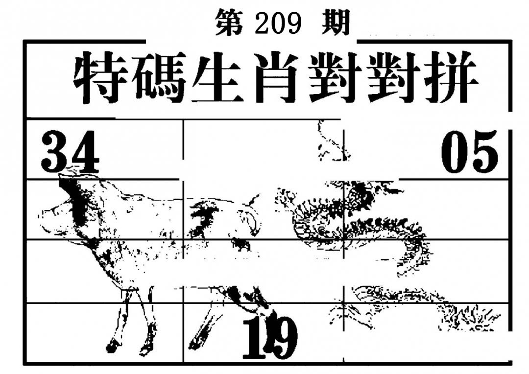 特码生肖对对拼