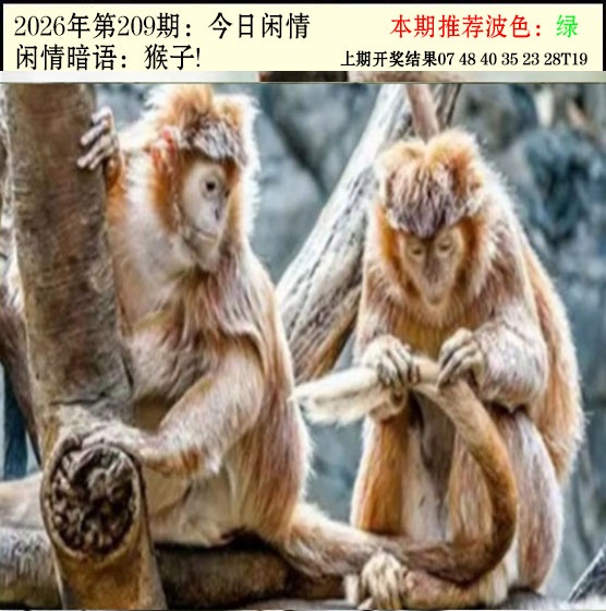 今日闲情2