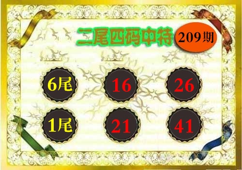 二尾四码