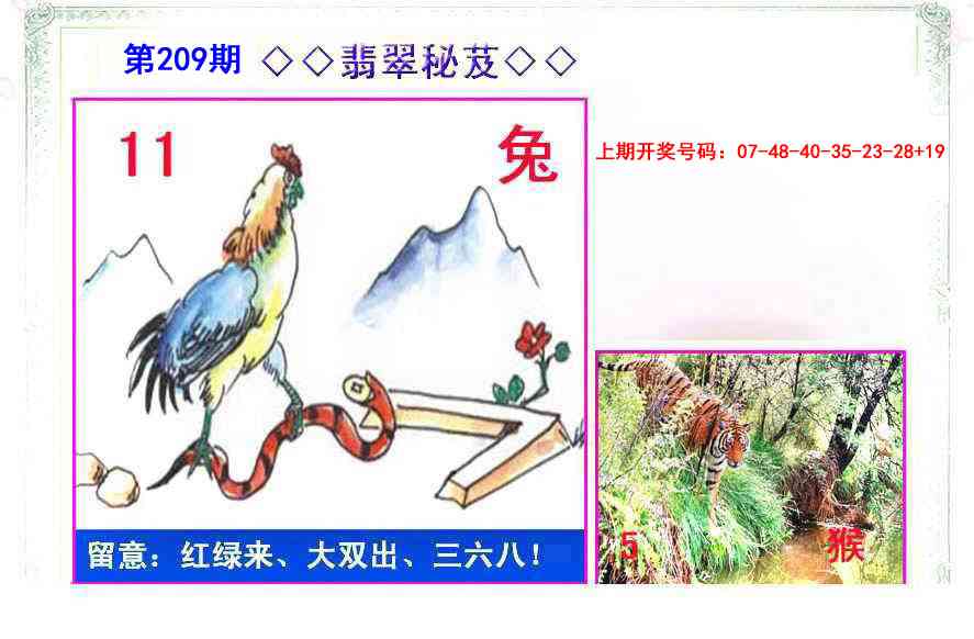 翡翠报