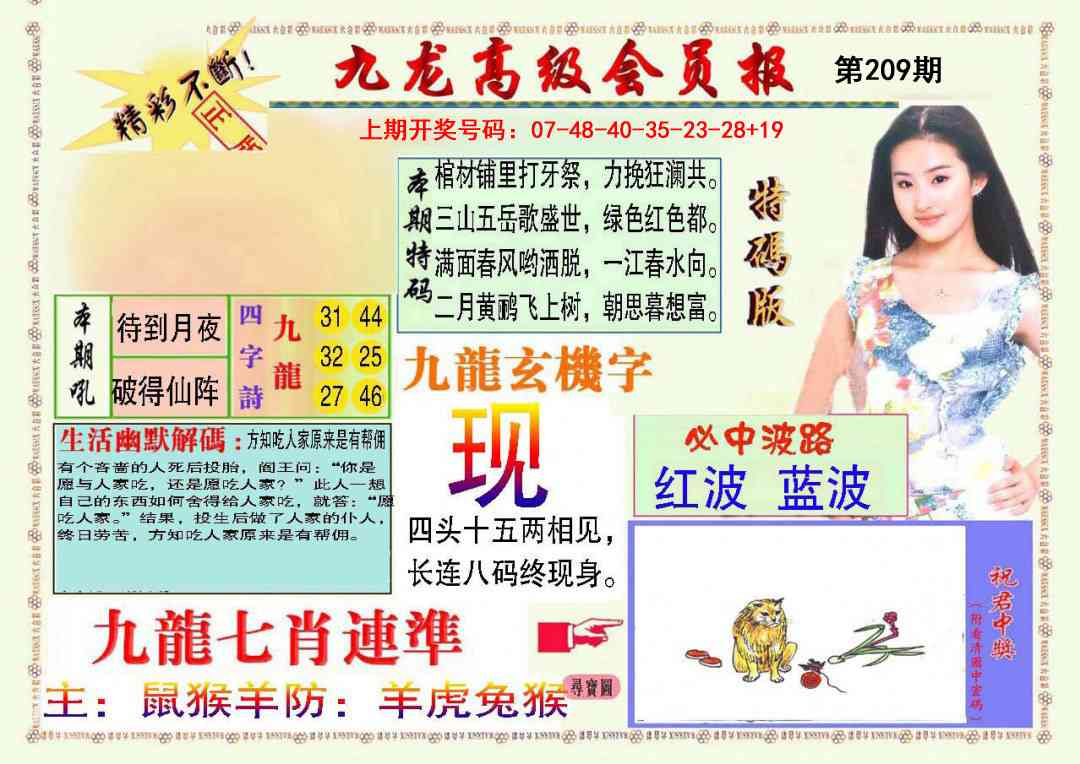 九龙高级会员报