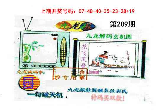 九龙报