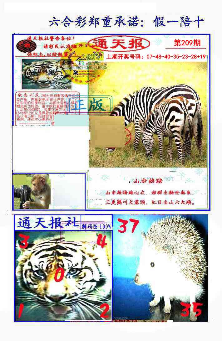 假一陪十通天报
