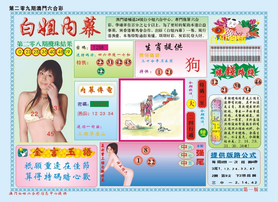 白小姐内幕A