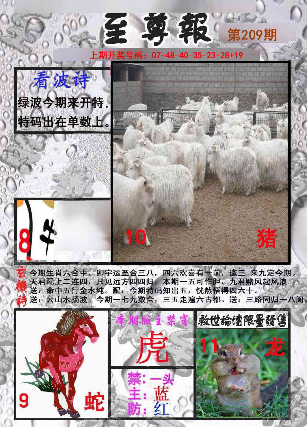至尊报