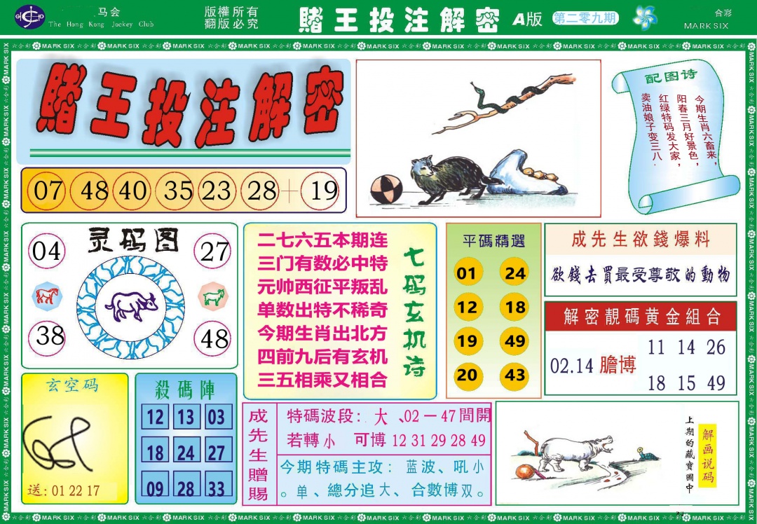 赌王投注解密
