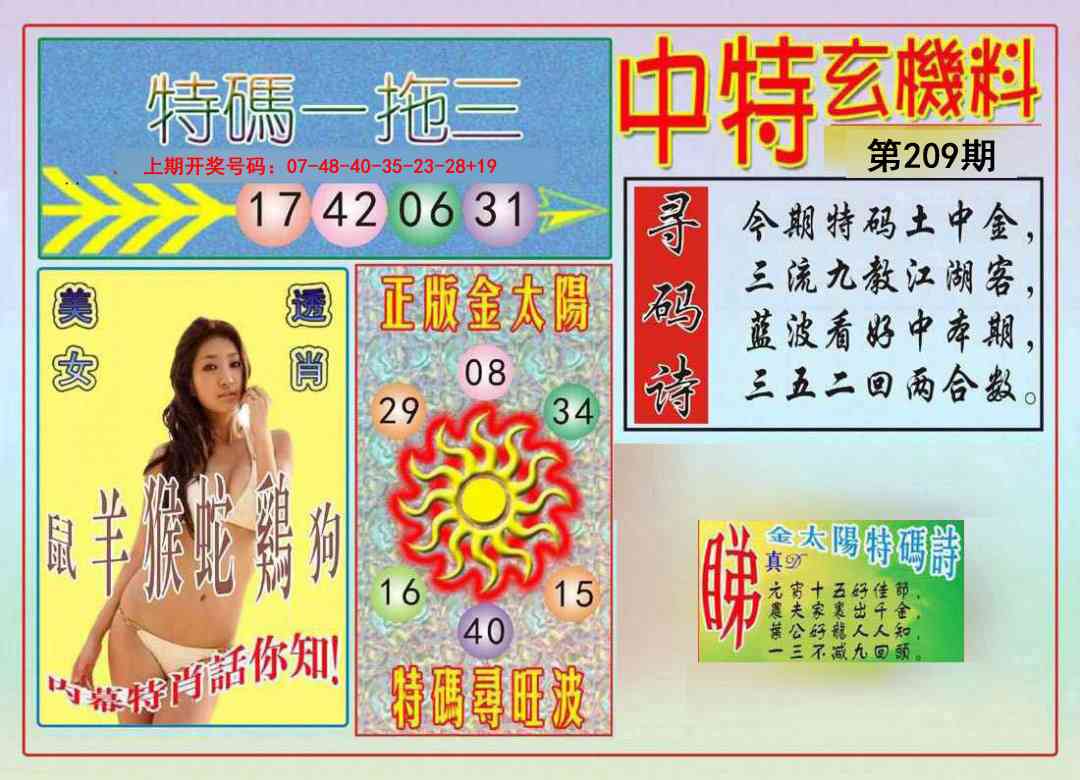 中特玄机料