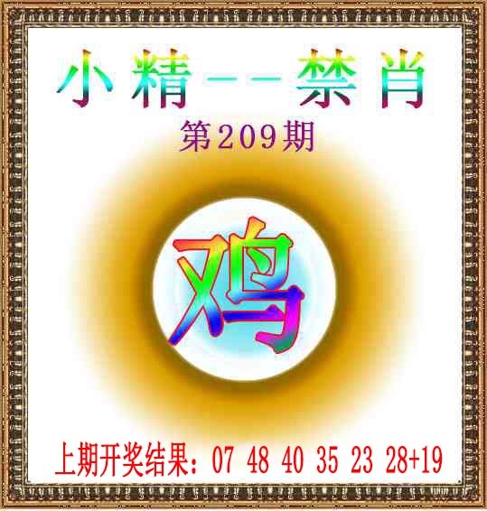 小精禁肖